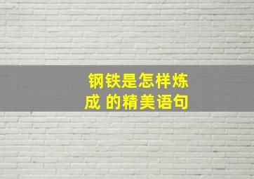 钢铁是怎样炼成 的精美语句